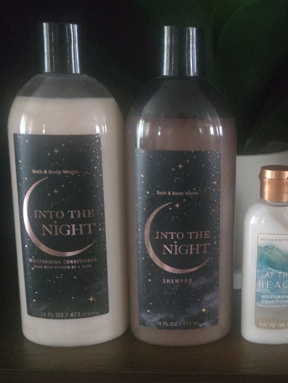 Shampoo and Conditioner -Into The Night & At The Beach